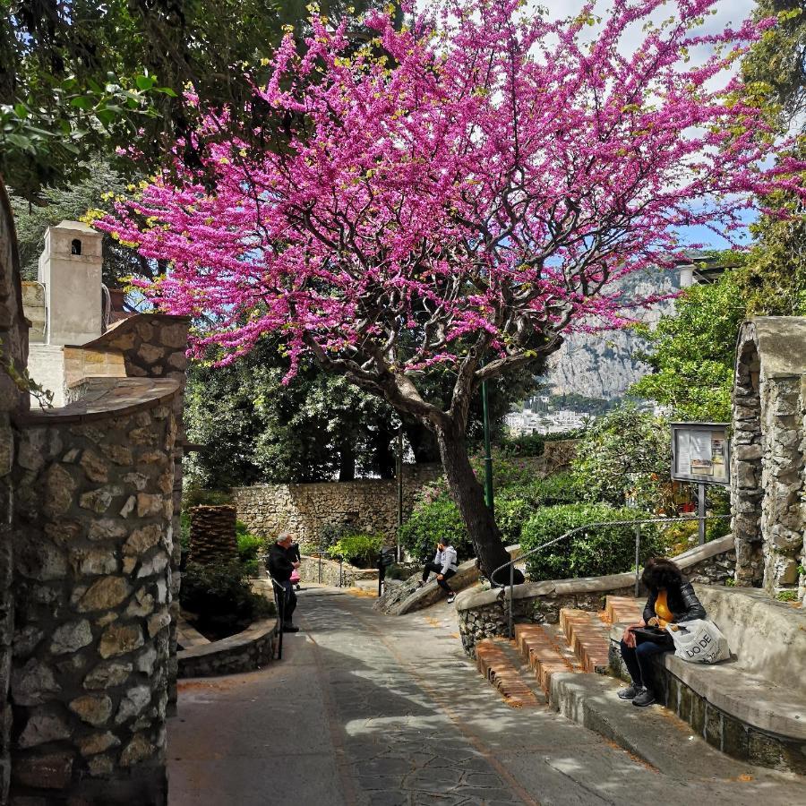 Villa il blù Capri Esterno foto